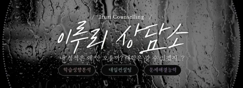 출처 : 이루리 공식 홈페이지