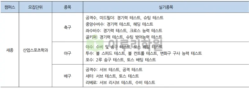 출처 : 2024학년도 홍익대학교 신입학생 입학전형 시행계획