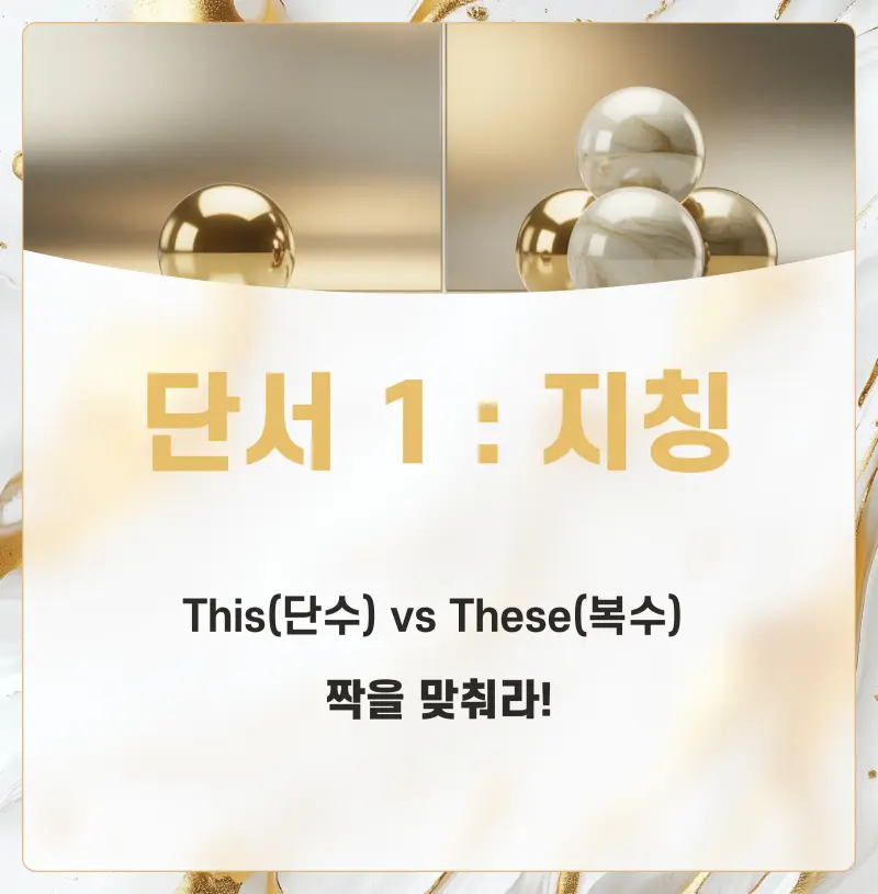 [수능 영어 공부법] 순서 배열, 아직도 '해석'에 의존하나요? [권동훈T]